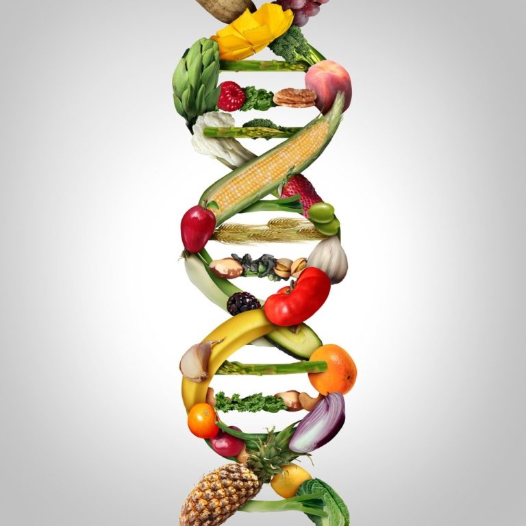 Read more about the article Can The Food We Eat Affect Our DNA?  